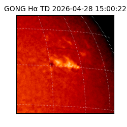 gong - 2026-04-28T15:00:22