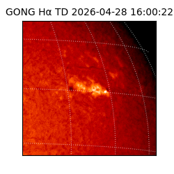 gong - 2026-04-28T16:00:22