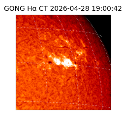 gong - 2026-04-28T19:00:42