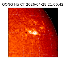gong - 2026-04-28T21:00:42