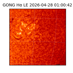 gong - 2026-04-28T01:00:42