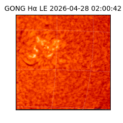 gong - 2026-04-28T02:00:42