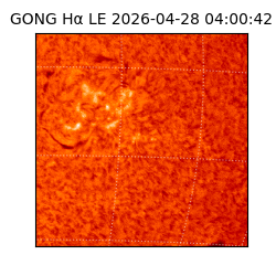gong - 2026-04-28T04:00:42