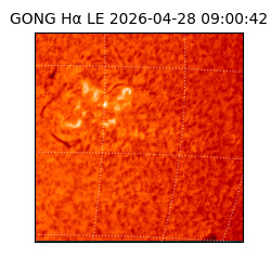 gong - 2026-04-28T09:00:42