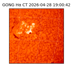 gong - 2026-04-28T19:00:42