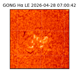 gong - 2026-04-28T07:00:42