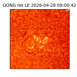 gong - 2026-04-28T09:00:42