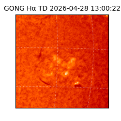 gong - 2026-04-28T13:00:22