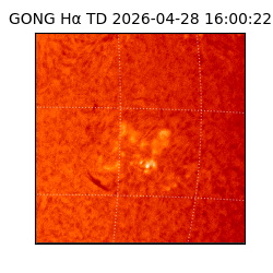 gong - 2026-04-28T16:00:22