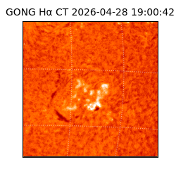 gong - 2026-04-28T19:00:42