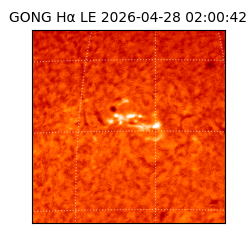 gong - 2026-04-28T02:00:42