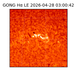 gong - 2026-04-28T03:00:42