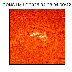 gong - 2026-04-28T04:00:42