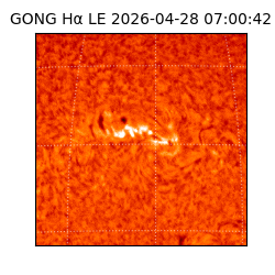 gong - 2026-04-28T07:00:42