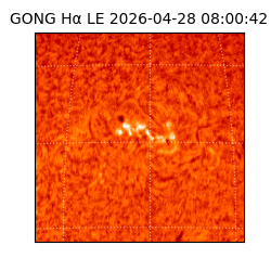 gong - 2026-04-28T08:00:42