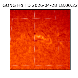 gong - 2026-04-28T18:00:22