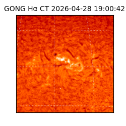 gong - 2026-04-28T19:00:42