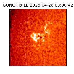 gong - 2026-04-28T03:00:42