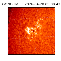 gong - 2026-04-28T05:00:42