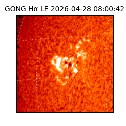 gong - 2026-04-28T08:00:42