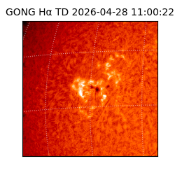 gong - 2026-04-28T11:00:22