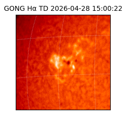 gong - 2026-04-28T15:00:22