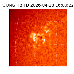 gong - 2026-04-28T16:00:22