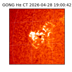 gong - 2026-04-28T19:00:42