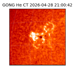 gong - 2026-04-28T21:00:42