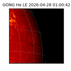 gong - 2026-04-28T01:00:42