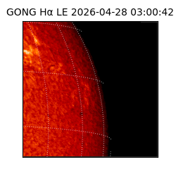 gong - 2026-04-28T03:00:42