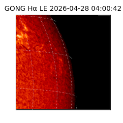gong - 2026-04-28T04:00:42