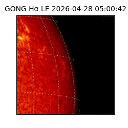 gong - 2026-04-28T05:00:42