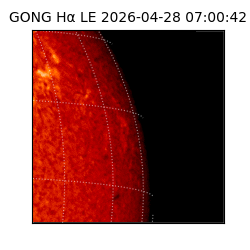 gong - 2026-04-28T07:00:42