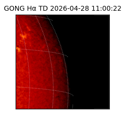 gong - 2026-04-28T11:00:22