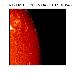 gong - 2026-04-28T19:00:42