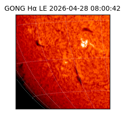 gong - 2026-04-28T08:00:42