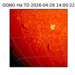 gong - 2026-04-28T14:00:22