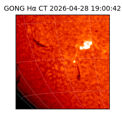 gong - 2026-04-28T19:00:42