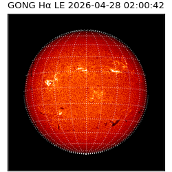 gong - 2026-04-28T02:00:42