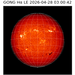 gong - 2026-04-28T03:00:42