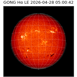 gong - 2026-04-28T05:00:42