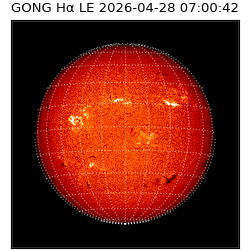 gong - 2026-04-28T07:00:42