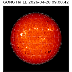 gong - 2026-04-28T09:00:42