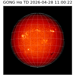 gong - 2026-04-28T11:00:22