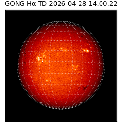 gong - 2026-04-28T14:00:22