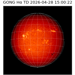 gong - 2026-04-28T15:00:22