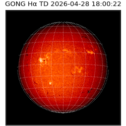 gong - 2026-04-28T18:00:22