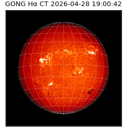 gong - 2026-04-28T19:00:42