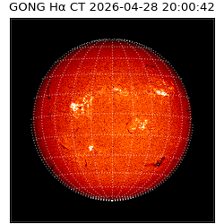 gong - 2026-04-28T20:00:42